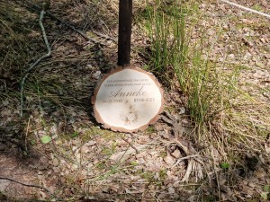 
                            <b>Voorbeeld herdenkingsbordje, geboorte- en sterftedatum, liefdevolle herinnering.</b><br>
                                                        <b>ISO:</b> 50 | <b>Sluitertijd:</b> 1/1176 | <b>Diafragma:</b> f/2.4 | <b>Datum:</b> 2025-05-17

                        