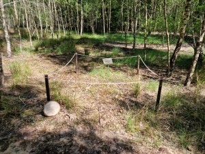 
                            <b>Afgebakend urngraf in bos met informatiebord, mogelijk voor bescherming of onderzoek.</b><br>
                                                        <b>ISO:</b> 50 | <b>Sluitertijd:</b> 1/462 | <b>Diafragma:</b> f/1.8 | <b>Datum:</b> 2025-05-17

                        