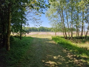 
                            <b>Bospad met uitzicht op de grafheuvels, bij het grafheuvelveld.</b><br>
                                                        <b>ISO:</b> 50 | <b>Sluitertijd:</b> 1/512 | <b>Diafragma:</b> f/1.8 | <b>Datum:</b> 2025-05-17

                        