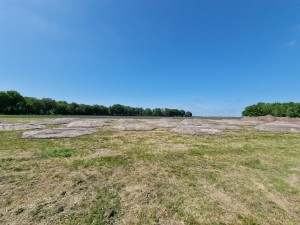 
                            <b>Grote keien liggen verspreid op een groene grasvlakte.</b><br>
                                                        <b>ISO:</b> 50 | <b>Sluitertijd:</b> 1/3125 | <b>Diafragma:</b> f/2.2 | <b>Datum:</b> 2025-05-17

                        