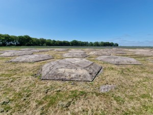 
                            <b>Grafheuvels, bij het grafheuvelveld.</b><br>
                                                        <b>ISO:</b> 50 | <b>Sluitertijd:</b> 1/2801 | <b>Diafragma:</b> f/2.2 | <b>Datum:</b> 2025-05-17

                        