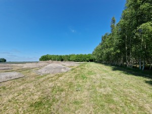 
                            <b>Grafheuvels, bij het grafheuvelveld.</b><br>
                                                        <b>ISO:</b> 50 | <b>Sluitertijd:</b> 1/2732 | <b>Diafragma:</b> f/2.2 | <b>Datum:</b> 2025-05-17

                        