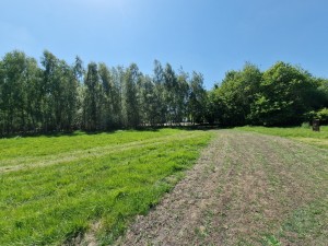 
                            <b>Grasveld met bomenrand en zandpad aan de rechterkant.</b><br>
                                                        <b>ISO:</b> 50 | <b>Sluitertijd:</b> 1/2392 | <b>Diafragma:</b> f/2.2 | <b>Datum:</b> 2025-05-17

                        