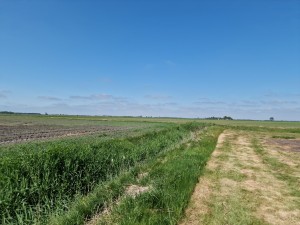 
                            <b>Uitgestrekte groene weilanden met lichte bewolking.</b><br>
                                                        <b>ISO:</b> 50 | <b>Sluitertijd:</b> 1/15625 | <b>Diafragma:</b> f/1.8 | <b>Datum:</b> 2025-05-17

                        