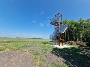 
                            <b>Uitkijktoren met metalen trappen.</b><br>
                                                        <b>ISO:</b> 50 | <b>Sluitertijd:</b> 1/2198 | <b>Diafragma:</b> f/2.2 | <b>Datum:</b> 2025-05-17

                        
