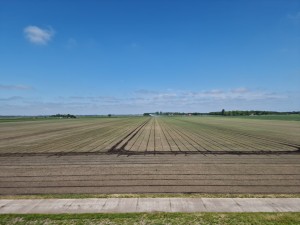 
                            <b>Uitgestrekt landbouwveld.</b><br>
                                                        <b>ISO:</b> 50 | <b>Sluitertijd:</b> 1/15152 | <b>Diafragma:</b> f/1.8 | <b>Datum:</b> 2025-05-17

                        