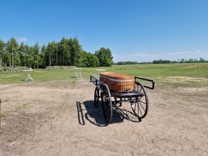 
                            <b>Voorbeeld van een Rieten mand / uitvaartkist op houten kar.</b><br>
                                                        <b>ISO:</b> 50 | <b>Sluitertijd:</b> 1/10989 | <b>Diafragma:</b> f/1.8 | <b>Datum:</b> 2025-05-17

                        