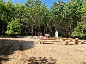 
                            <b>Persoon op houten bank in bosrijke omgeving bij een boskapel.</b><br>
                                                        <b>ISO:</b> 50 | <b>Sluitertijd:</b> 1/5714 | <b>Diafragma:</b> f/1.8 | <b>Datum:</b> 2025-05-17

                        