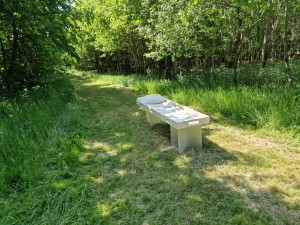 
                            <b>Uitvaartkist geplaatst midden in een grasveld omringd door bomen.</b><br>
                                                        <b>ISO:</b> 50 | <b>Sluitertijd:</b> 1/275 | <b>Diafragma:</b> f/1.8 | <b>Datum:</b> 2025-05-17

                        