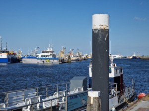 
                            <b>Schepen in een haven met een groot meeroppervlak en enkele boten.</b><br>
                                                        <b>ISO:</b> 50 | <b>Sluitertijd:</b> 1/4695 | <b>Diafragma:</b> f/2.4 | <b>Datum:</b> 2025-05-08

                        