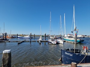 
                            <b>Verschillende zeilboten aangemeerd in een haven.</b><br>
                                                        <b>ISO:</b> 50 | <b>Sluitertijd:</b> 1/12500 | <b>Diafragma:</b> f/1.8 | <b>Datum:</b> 2025-05-08

                        