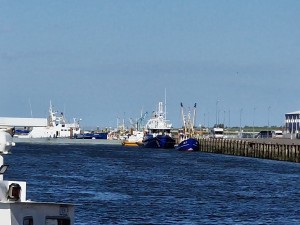 
                            <b>Vissersboten aangemeerd in een haven, klaar voor vertrek of lossen.</b><br>
                                                        <b>ISO:</b> 50 | <b>Sluitertijd:</b> 1/5181 | <b>Diafragma:</b> f/2.4 | <b>Datum:</b> 2025-05-08

                        