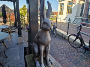
                            <b>Standbeeld van een zittend konijn bij een café-ingang op straat.</b><br>
                                                        <b>ISO:</b> 50 | <b>Sluitertijd:</b> 1/254 | <b>Diafragma:</b> f/1.8 | <b>Datum:</b> 2025-05-08

                        