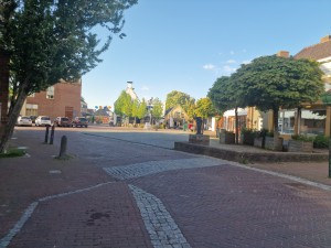 
                            <b>Leeg plein met bomen en winkels, rustige sfeer en autovrije zone.</b><br>
                                                        <b>ISO:</b> 50 | <b>Sluitertijd:</b> 1/2976 | <b>Diafragma:</b> f/1.8 | <b>Datum:</b> 2025-05-08

                        