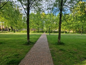 
                            <b>Rechtdoor lopend pad bij landgoed Fraeylemaborg.</b><br>
                                                        <b>ISO:</b> 50 | <b>Sluitertijd:</b> 1/201 | <b>Diafragma:</b> f/1.8 | <b>Datum:</b> 2025-05-05

                        