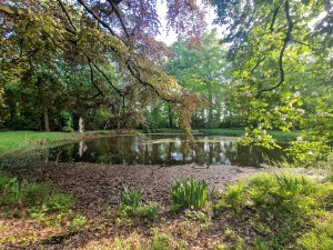 
                            <b>Vijver omringd door groene bomen met overhangende takken bij landgoed Fraeylemaborg.</b><br>
                                                        <b>ISO:</b> 50 | <b>Sluitertijd:</b> 1/103 | <b>Diafragma:</b> f/2.2 | <b>Datum:</b> 2025-05-05

                        
