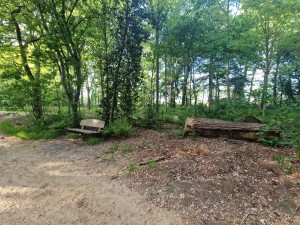 
                            <b>Bankje en omgevallen boomstam bij landgoed Fraeylemaborg.</b><br>
                                                        <b>ISO:</b> 64 | <b>Sluitertijd:</b> 1/50 | <b>Diafragma:</b> f/2.2 | <b>Datum:</b> 2025-05-05

                        