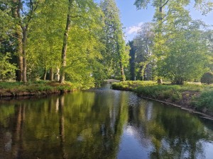 
                            <b>Rustige rivier omringd door groene bomen en weelderige natuur.</b><br>
                                                        <b>ISO:</b> 50 | <b>Sluitertijd:</b> 1/235 | <b>Diafragma:</b> f/1.8 | <b>Datum:</b> 2025-05-05

                        