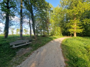 
                            <b>Bankje en omgevallen boomstam bij landgoed Fraeylemaborg.</b><br>
                                                        <b>ISO:</b> 50 | <b>Sluitertijd:</b> 1/306 | <b>Diafragma:</b> f/2.2 | <b>Datum:</b> 2025-05-05

                        