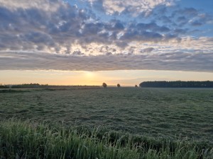 
                            <b>Uitgestrekt landschap onder kleurrijke zonsopgang met wolken.</b><br>
                                                        <b>ISO:</b> 50 | <b>Sluitertijd:</b> 1/796 | <b>Diafragma:</b> f/1.8 | <b>Datum:</b> 2025-05-19

                        