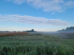 
                            <b>Uitgestrekt landschap met gras, bomen en dunne mist in de verte.</b><br>
                                                        <b>ISO:</b> 50 | <b>Sluitertijd:</b> 1/3831 | <b>Diafragma:</b> f/1.8 | <b>Datum:</b> 2025-05-19

                        