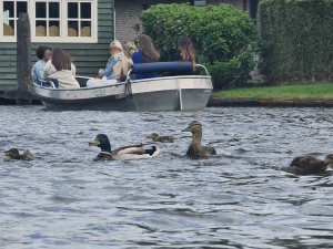 
                            <b>Eenden zwemmen voor boot met mensen op het meer.</b><br>
                                                        <b>ISO:</b> 50 | <b>Sluitertijd:</b> 1/287 | <b>Diafragma:</b> f/3.5 | <b>Datum:</b> 2023-05-20

                        