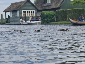 
                            <b>Eenden zwemmen in het water; mensen varen in boten.</b><br>
                                                        <b>ISO:</b> 50 | <b>Sluitertijd:</b> 1/276 | <b>Diafragma:</b> f/3.5 | <b>Datum:</b> 2023-05-20

                        