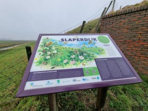 
                            <b>Informatiebord over biodiversiteit en natuur op de slaperdijk.</b><br>
                                                        <b>ISO:</b> 50 | <b>Sluitertijd:</b> 1/422 | <b>Diafragma:</b> f/2.2 | <b>Datum:</b> 2024-01-13

                        