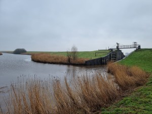 
                            <b>Sluissysteem bij de slaperdijk met rietplanten langs een kanaal.</b><br>
                                                        <b>ISO:</b> 50 | <b>Sluitertijd:</b> 1/208 | <b>Diafragma:</b> f/1.8 | <b>Datum:</b> 2024-01-13

                        