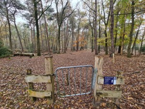 
                            <b>Houten toegangspoort met metalen hek in bosrijke omgeving.</b><br>
                                                        <b>ISO:</b> 160 | <b>Sluitertijd:</b> 1/50 | <b>Diafragma:</b> f/2.2 | <b>Datum:</b> 2023-11-16

                        