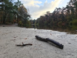 
                            <b>Twee takken op zandstrand bij de Kaatsheuvelse IJsbaan.</b><br>
                                                        <b>ISO:</b> 50 | <b>Sluitertijd:</b> 1/191 | <b>Diafragma:</b> f/1.8 | <b>Datum:</b> 2023-11-15

                        