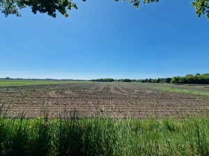 
                            <b>Uitgestrekt akkerland onder een heldere blauwe lucht.</b><br>
                                                        <b>ISO:</b> 50 | <b>Sluitertijd:</b> 1/3268 | <b>Diafragma:</b> f/2.2 | <b>Datum:</b> 2025-05-20

                        