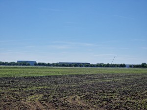 
                            <b>Veld met jonge gewassen, gebouwen en een hijskraan aan de horizon.</b><br>
                                                        <b>ISO:</b> 50 | <b>Sluitertijd:</b> 1/4762 | <b>Diafragma:</b> f/2.4 | <b>Datum:</b> 2025-05-20

                        