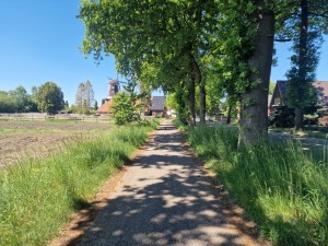 
                            <b>Landelijk pad met bomen en molen in de verte.</b><br>
                                                        <b>ISO:</b> 50 | <b>Sluitertijd:</b> 1/3984 | <b>Diafragma:</b> f/1.8 | <b>Datum:</b> 2025-05-20

                        