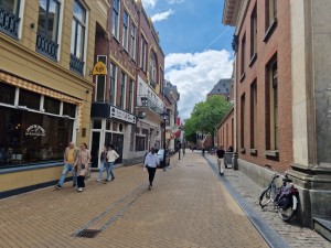 
                            <b>Historische straat met wandelende mensen en terrassen aan beide zijden.</b><br>
                                                        <b>ISO:</b> 50 | <b>Sluitertijd:</b> 1/970 | <b>Diafragma:</b> f/1.8 | <b>Datum:</b> 2025-05-26

                        
