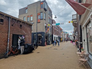 
                            <b>Straatbeeld met winkels, fietser en voorbijgangers onder kleurrijke vlaggen en lantaarns.</b><br>
                                                        <b>ISO:</b> 50 | <b>Sluitertijd:</b> 1/884 | <b>Diafragma:</b> f/1.8 | <b>Datum:</b> 2025-05-26

                        