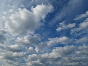 
                            <b>cumuluswolken verspreid over een heldere blauwe hemel.</b><br>
                                                        <b>ISO:</b> 50 | <b>Sluitertijd:</b> 1/15873 | <b>Diafragma:</b> f/1.8 | <b>Datum:</b> 2025-05-24

                        