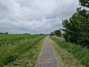 
                            <b>Lang, smal pad tussen groene velden met wolkenlucht erboven.</b><br>
                                                        <b>ISO:</b> 50 | <b>Sluitertijd:</b> 1/14286 | <b>Diafragma:</b> f/1.8 | <b>Datum:</b> 2025-05-24

                        