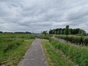 
                            <b>Pad leidt naar brug over grasland en sloot.</b><br>
                                                        <b>ISO:</b> 50 | <b>Sluitertijd:</b> 1/10989 | <b>Diafragma:</b> f/1.8 | <b>Datum:</b> 2025-05-24

                        
