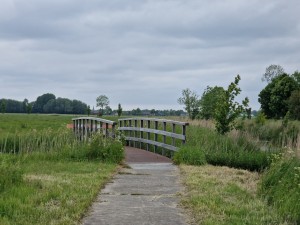 
                            <b>Boogbrug over een sloot met grasvelden eromheen.</b><br>
                                                        <b>ISO:</b> 50 | <b>Sluitertijd:</b> 1/2070 | <b>Diafragma:</b> f/2.4 | <b>Datum:</b> 2025-05-24

                        
