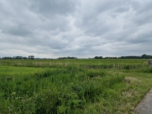 
                            <b>Uitgestrekt groen veld met gras en een bewolkte lucht erboven.</b><br>
                                                        <b>ISO:</b> 50 | <b>Sluitertijd:</b> 1/11111 | <b>Diafragma:</b> f/1.8 | <b>Datum:</b> 2025-05-24

                        