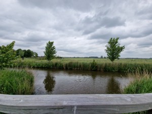
                            <b>Rivier loopt tussen grasvelden met enkele bomen op de achtergrond.</b><br>
                                                        <b>ISO:</b> 50 | <b>Sluitertijd:</b> 1/1876 | <b>Diafragma:</b> f/2.2 | <b>Datum:</b> 2025-05-24

                        