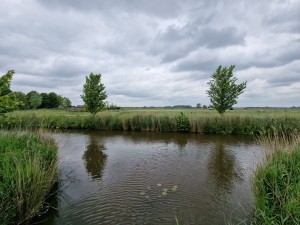 
                            <b>Rustige sloot met twee bomen en weids uitzicht.</b><br>
                                                        <b>ISO:</b> 50 | <b>Sluitertijd:</b> 1/1799 | <b>Diafragma:</b> f/2.2 | <b>Datum:</b> 2025-05-24

                        