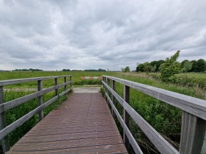 
                            <b>Houten brug steekt over smalle sloot naar wijds groen landschap.</b><br>
                                                        <b>ISO:</b> 50 | <b>Sluitertijd:</b> 1/1650 | <b>Diafragma:</b> f/2.2 | <b>Datum:</b> 2025-05-24

                        
