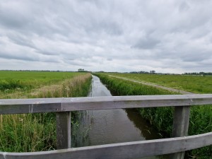 
                            <b>Waterige sloot met houten brug en grasrijke oevers onder stratocumuluswolken.</b><br>
                                                        <b>ISO:</b> 50 | <b>Sluitertijd:</b> 1/1592 | <b>Diafragma:</b> f/2.2 | <b>Datum:</b> 2025-05-24

                        