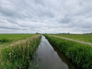 
                            <b>Sloot met gras langs de kant in een wijd landschap onder stratocumuluswolken.</b><br>
                                                        <b>ISO:</b> 50 | <b>Sluitertijd:</b> 1/1795 | <b>Diafragma:</b> f/2.2 | <b>Datum:</b> 2025-05-24

                        
