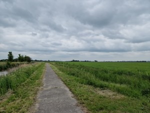 
                            <b>Betonnen wandelpad tussen groene velden onder stratocumuluswolken.</b><br>
                                                        <b>ISO:</b> 50 | <b>Sluitertijd:</b> 1/12658 | <b>Diafragma:</b> f/1.8 | <b>Datum:</b> 2025-05-24

                        