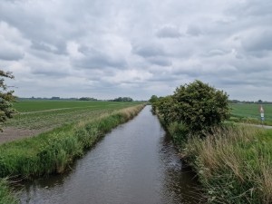 
                            <b>Smal kanaal met begroeiing aan beide zijden in landelijk gebied.</b><br>
                                                        <b>ISO:</b> 50 | <b>Sluitertijd:</b> 1/1192 | <b>Diafragma:</b> f/1.8 | <b>Datum:</b> 2025-05-24

                        
