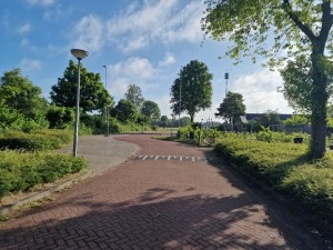 
                            <b>hoofdlingenpad kronkelend met bomen en struiken aan beide zijden.</b><br>
                                                        <b>ISO:</b> 50 | <b>Sluitertijd:</b> 1/1504 | <b>Diafragma:</b> f/1.8 | <b>Datum:</b> 2025-05-30

                        