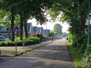 
                            <b>Ruitenweg met rijtjeshuizen en parkeerverbodsbord links van de weg.</b><br>
                                                        <b>ISO:</b> 50 | <b>Sluitertijd:</b> 1/919 | <b>Diafragma:</b> f/2.4 | <b>Datum:</b> 2025-05-30

                        